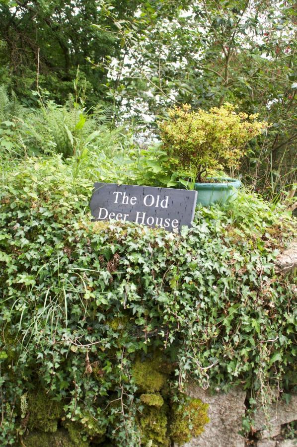 The Old Deer House Acomodação com café da manhã Bodmin Exterior foto